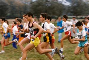 01 1993 Cross naz [S Prisco CE 10 gen] (14)