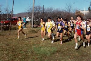 04 1993 Camp reg Sen e Amat [Tappino 14 feb] (2)