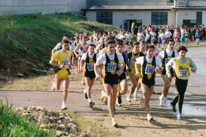 01 1994 Camp Prov Soc cross [S. Martino in P 16 gen] (5)