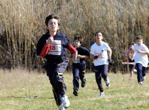 08 2006 Camp.Reg.Indiv. cross [IS   26 feb] (2)