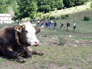 34 2006 Campus estivo [Valle Fior 31.lug-8 ago] (39)