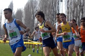 12 2008 C.I. ind. cross [Carpi MO 15 mar] (10)