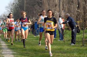 12 2008 C.I. ind. cross [Carpi MO 15 mar] (5)