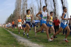 12 2008 C.I. ind. cross [Carpi MO 15 mar] (9)