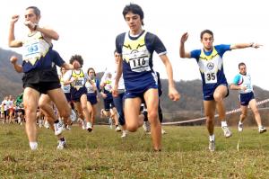 5 2008 C.d.S. 2pr.Giov. + G.P. Ass--Amat.[Pettoranello IS 3 feb] (3)