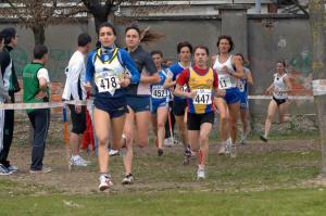 13-2009-C.I.-cross-CSI-PD-27.29-mar-11