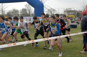 13-2009-C.I.-cross-CSI-PD-27.29-mar-4