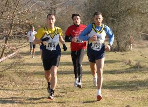 3-2013-CdS-reg-cross-IS-27.1.13-3