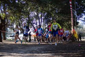 5-2013-2-pr-Camp-reg-cross-Cttiextra-Termoli-10-feb-5