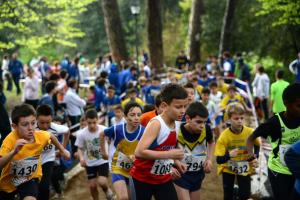10-C I -cross-CSI-Montecatini-T-5-4-14-39