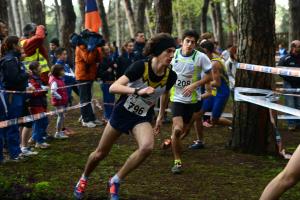 10-C I -cross-CSI-Montecatini-T-5-4-14-41
