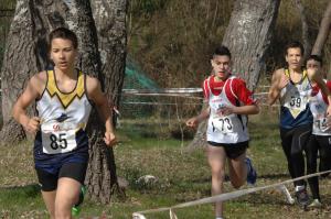6-Fase-reg-cross-CSI-Castropignano-16.2.14-29