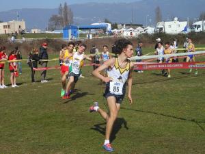 8-Camp-Ital-cross-All-e-Ass-Nove-9.3.14-3