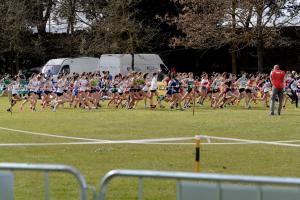 Camp -Ital -cross-Campi-Bisenzio-FI-13-14 3 21-3