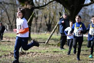 2-pr-Camp-Prov-cross-CSI-Vinchiaturo-16-2-25-38