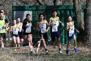 09-Camp -Reg cross-CSI-Trofeo-Leo-Leone-Vinchiaturo-9-3-25-2