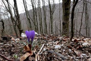 11-Weekend-in-montagna-Bocca-della-Selva-Matese-21-23 3 25-22
