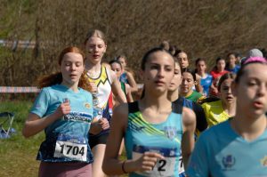 12-C I -cross-CSI-Mel-BL-5-4-25-10