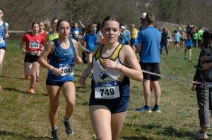 12-C I -cross-CSI-Mel-BL-5-4-25-12