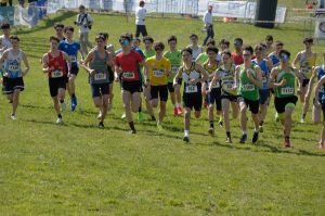 12-C I -cross-CSI-Mel-BL-5-4-25-14