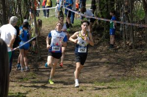 12-C I -cross-CSI-Mel-BL-5-4-25-17