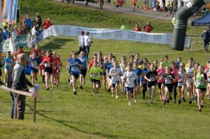 12-C I -cross-CSI-Mel-BL-5-4-25-3