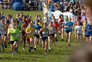 12-C I -cross-CSI-Mel-BL-5-4-25-4