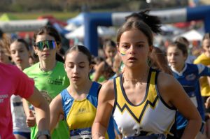 12-C I -cross-CSI-Mel-BL-5-4-25-5