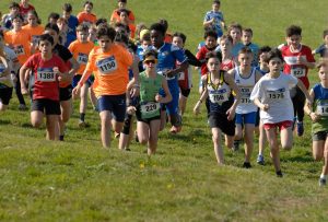 12-C I -cross-CSI-Mel-BL-5-4-25-7