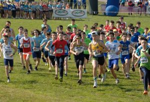 12-C I -cross-CSI-Mel-BL-5-4-25-9