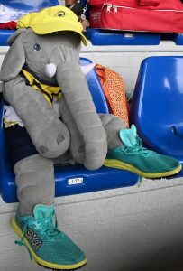 20-Camp Naz -CSI-Cernusco-sul-Naviglio-MI-12-13 9 25-35