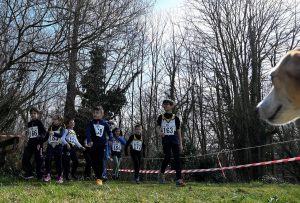 3-pr-cross-prov.-CSI-Piana-dei-mulini-Colle-DAnchise-1-3-26-40